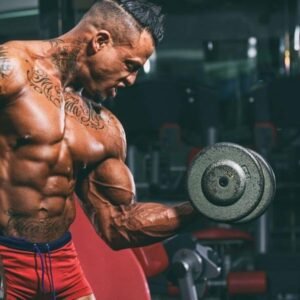 Body Building Blueprint
